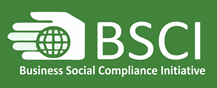 Business Social Compliance Initiative